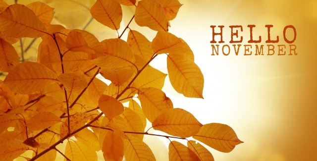 hello-november-hd-wall