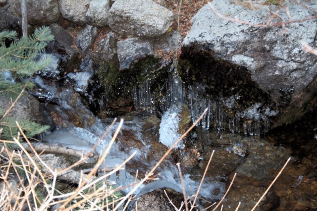 ice-sicles-11-25-16-1